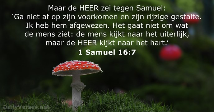 Maar de HEER zei tegen Samuel: ‘Ga niet af op zijn voorkomen… 1 Samuel 16:7