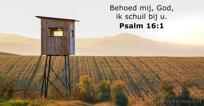 Behoed mij, God, ik schuil bij u. Psalm 16:1