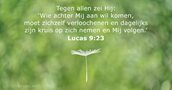 Lucas 9:23