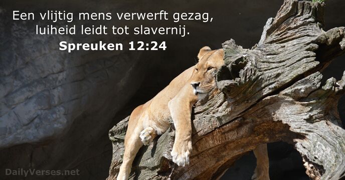 Een vlijtig mens verwerft gezag, luiheid leidt tot slavernij. Spreuken 12:24