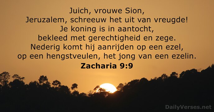 Zacharia 9:9