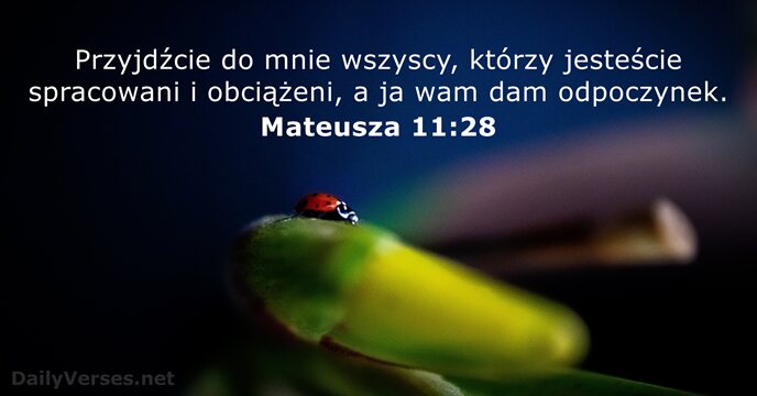 Mateusza 11:28