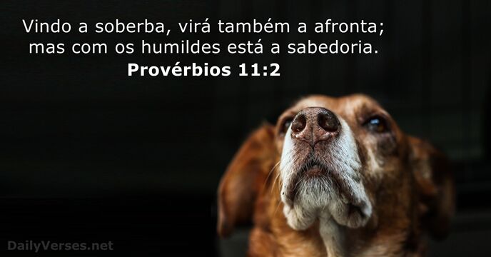 Vindo a soberba, virá também a afronta; mas com os humildes está a sabedoria. Provérbios 11:2