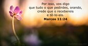 Marcos 11:24