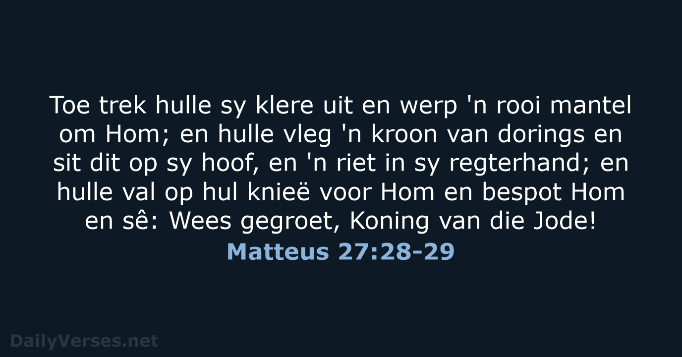 Matteus 27:28-29 - AFR53
