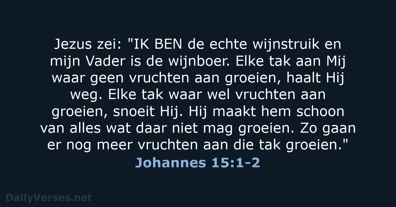 Johannes 15:1-2 - BB
