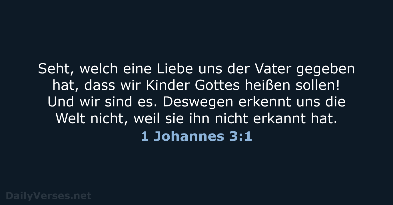 1 Johannes 3:1 - ELB
