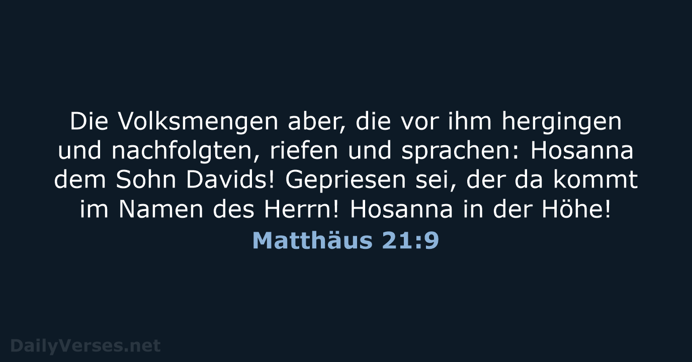Die Volksmengen aber, die vor ihm hergingen und nachfolgten, riefen und sprachen:… Matthäus 21:9