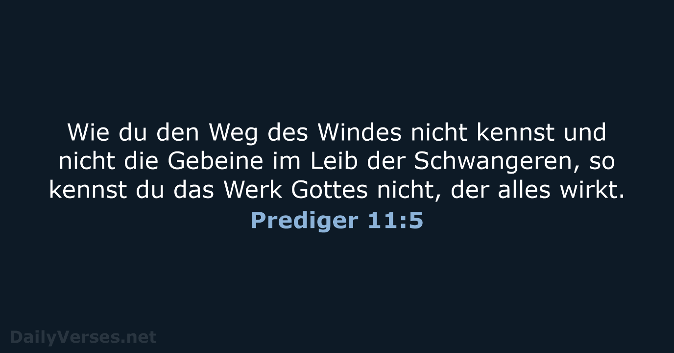 Wie du den Weg des Windes nicht kennst und nicht die Gebeine… Prediger 11:5