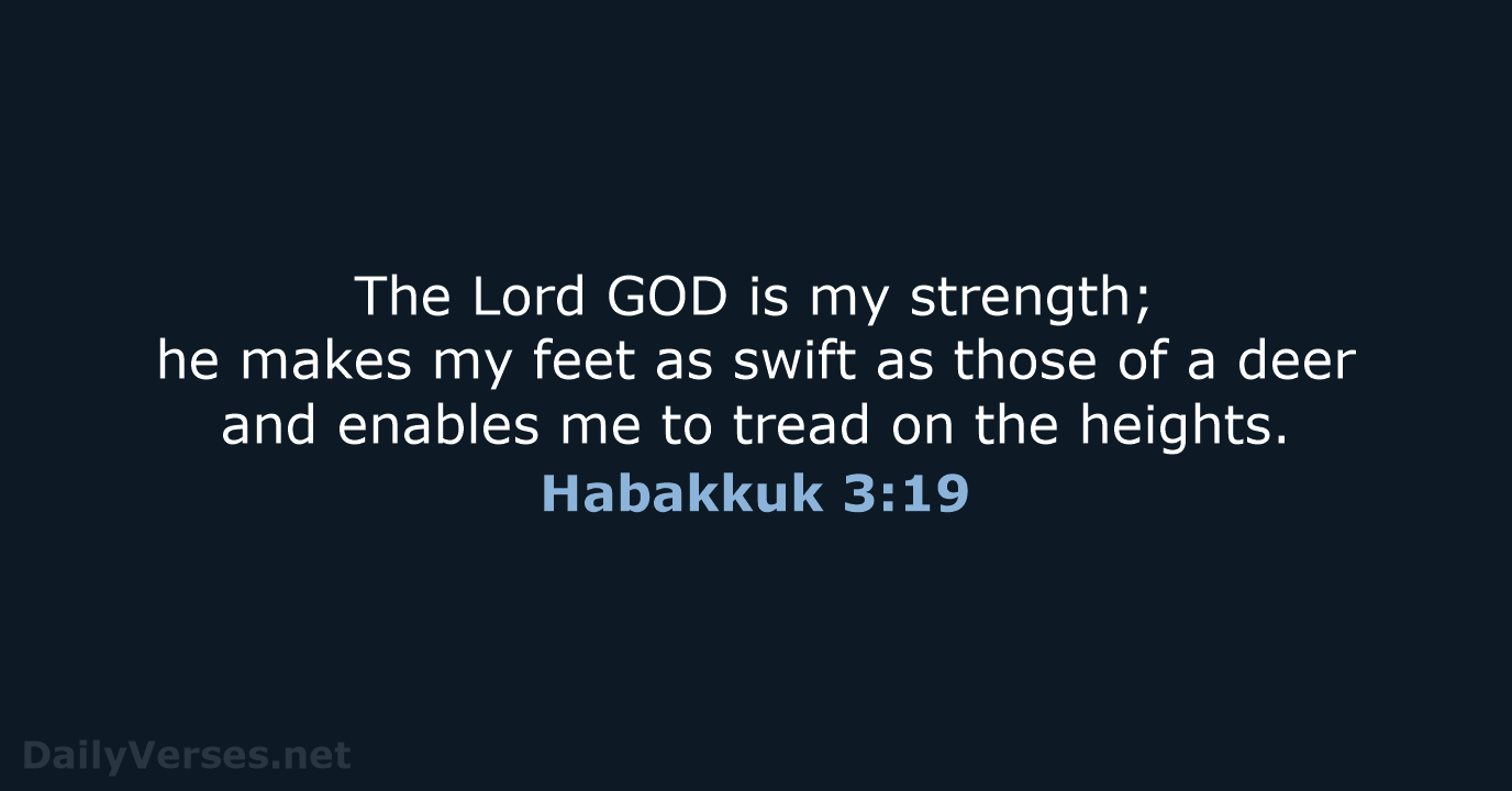 Habakkuk 3:19 - NCB
