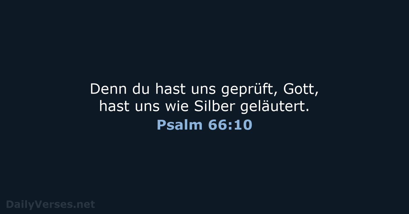 Psalm 66:10 - NeÜ
