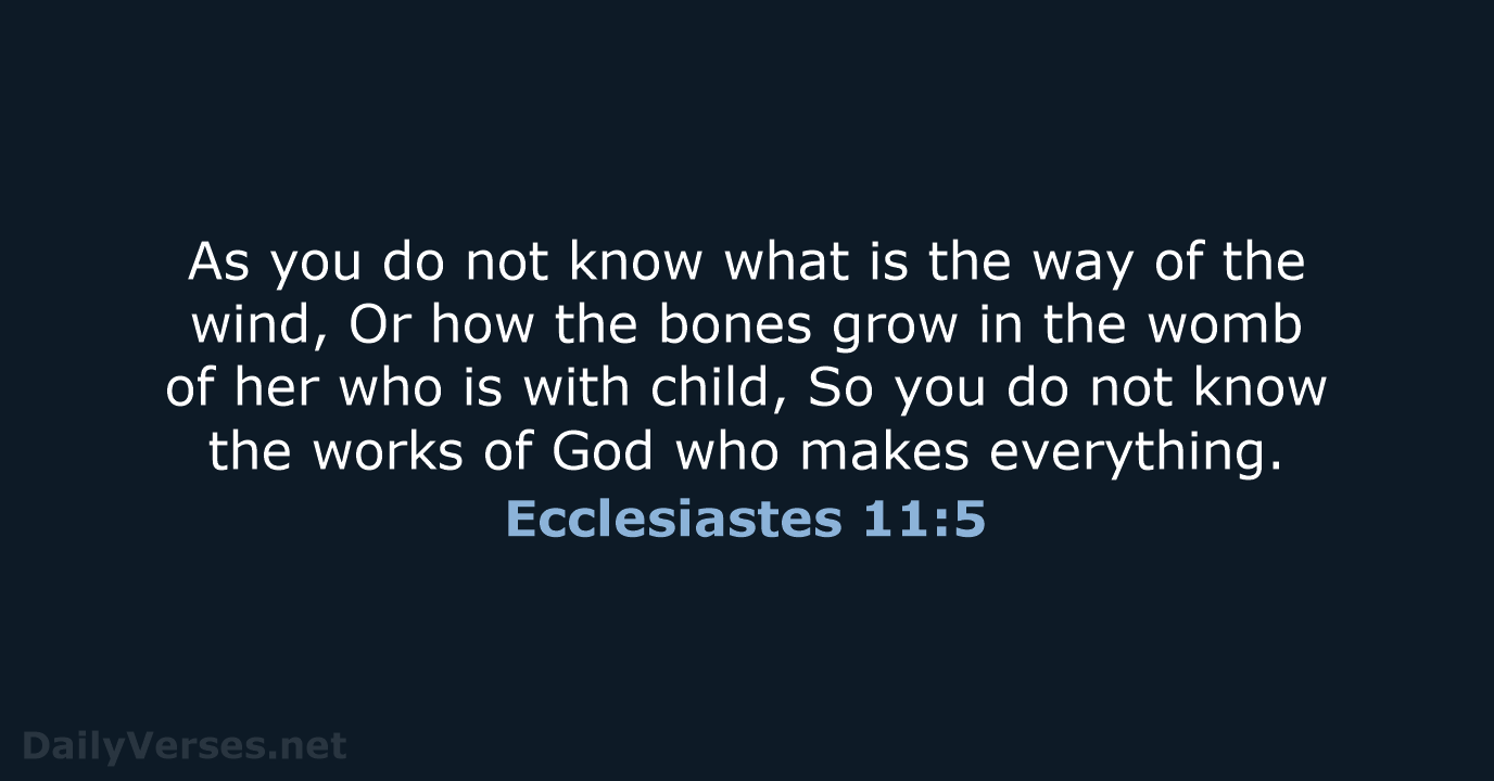 As you do not know what is the way of the wind… Ecclesiastes 11:5