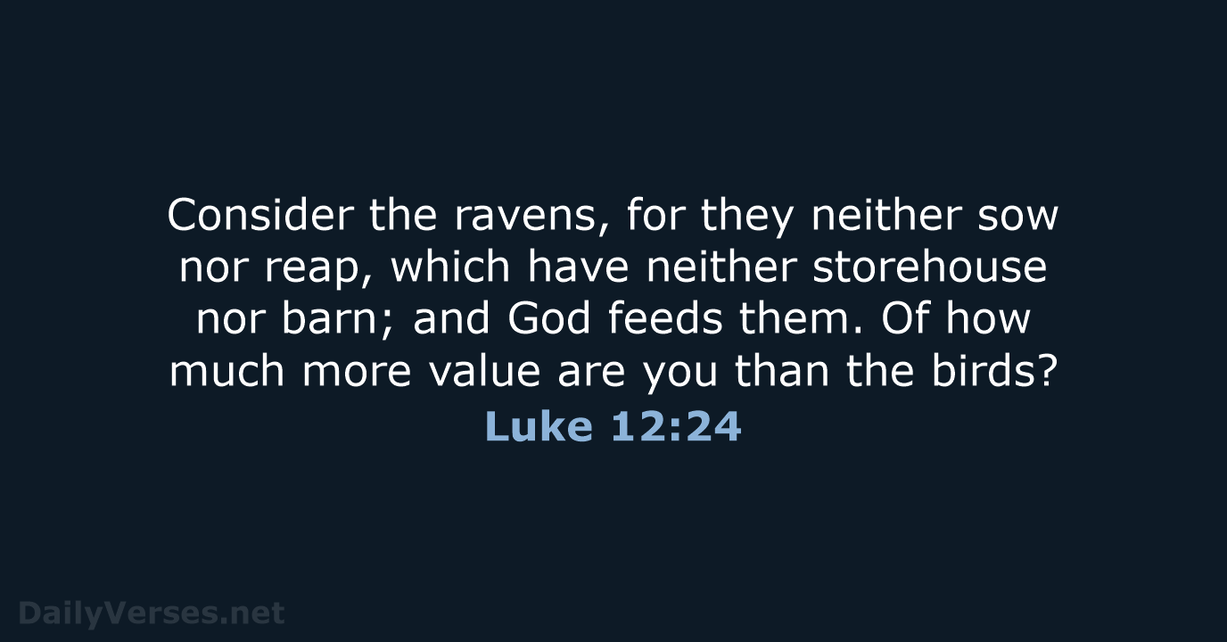 Consider the ravens, for they neither sow nor reap, which have neither… Luke 12:24