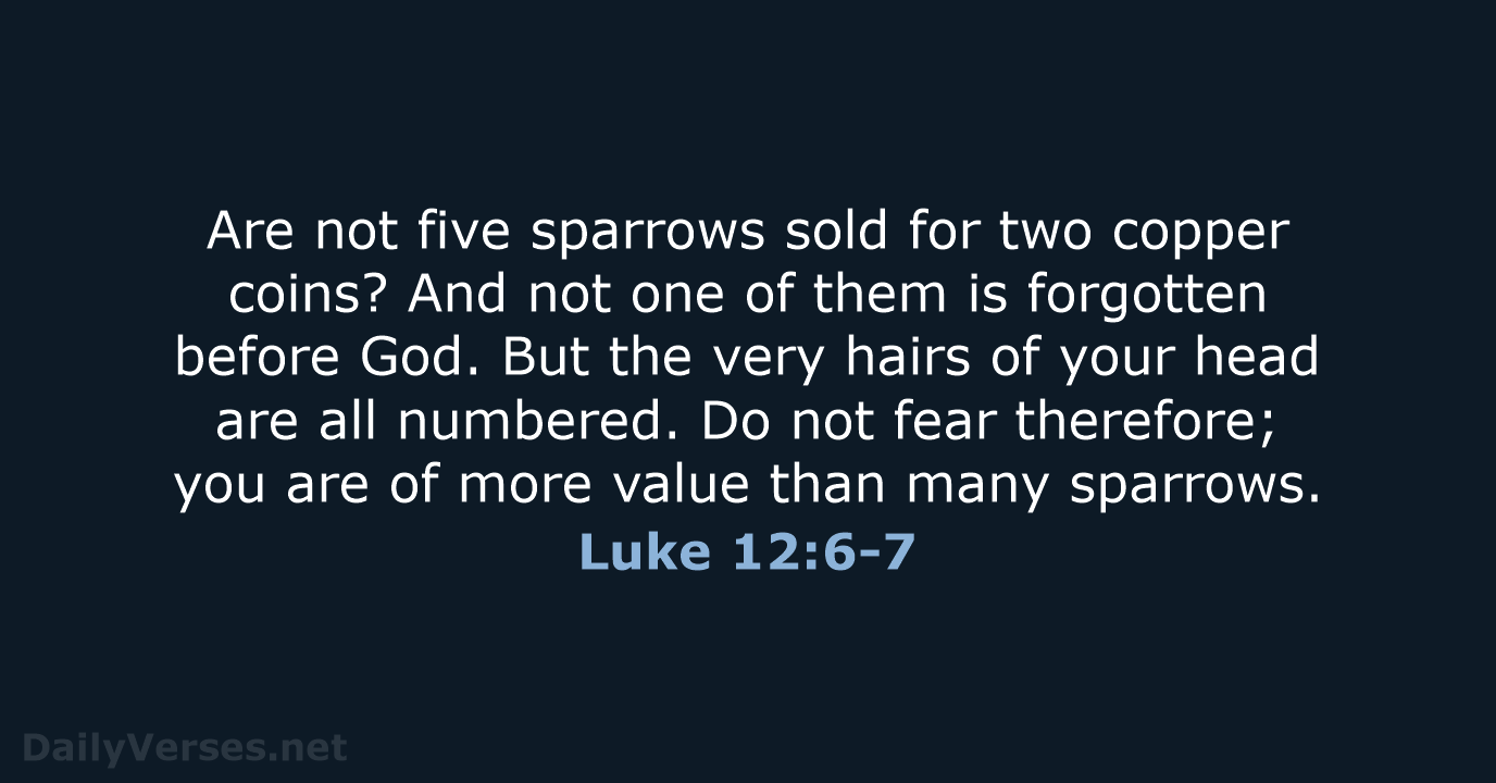 Are not five sparrows sold for two copper coins? And not one… Luke 12:6-7