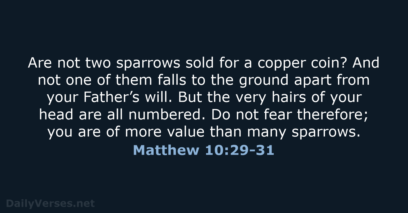 Matthew 10:29-31 - NKJV