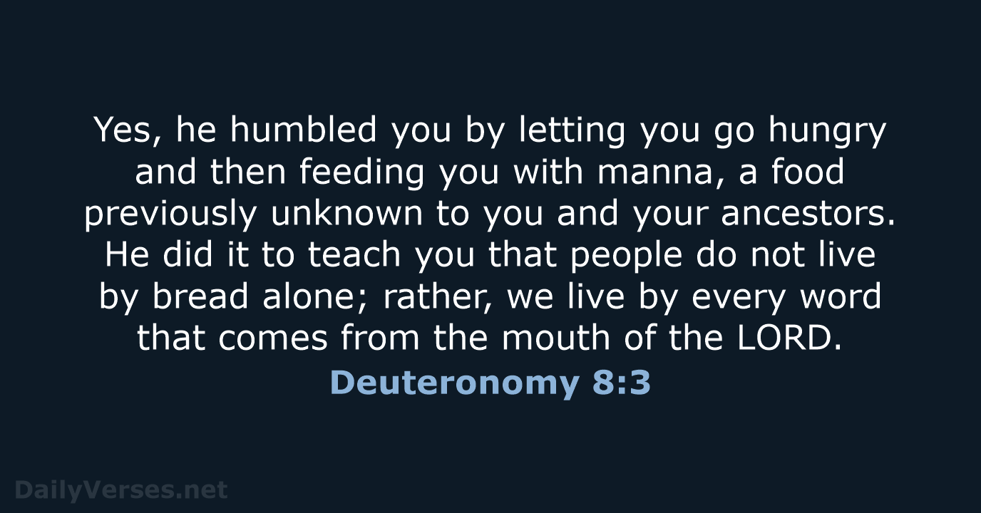 Deuteronomy 8:3 - NLT