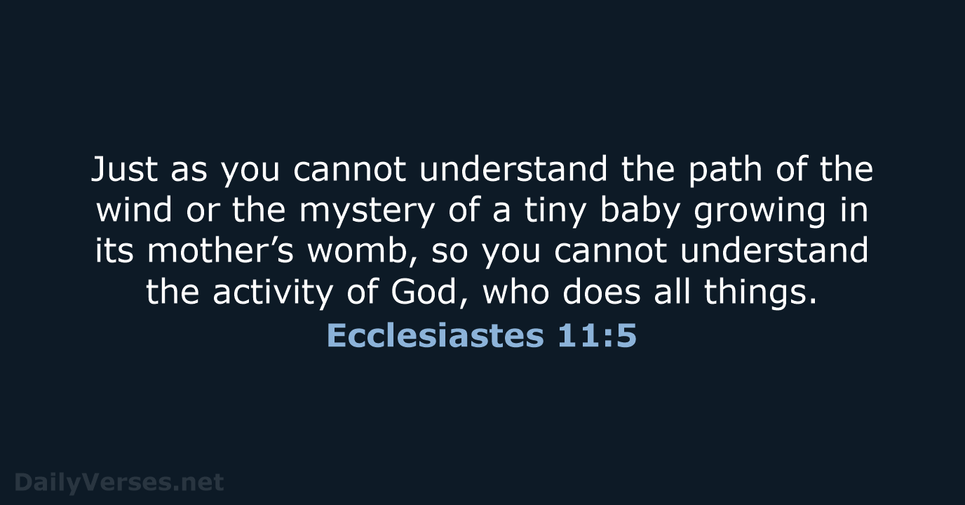 Just as you cannot understand the path of the wind or the… Ecclesiastes 11:5