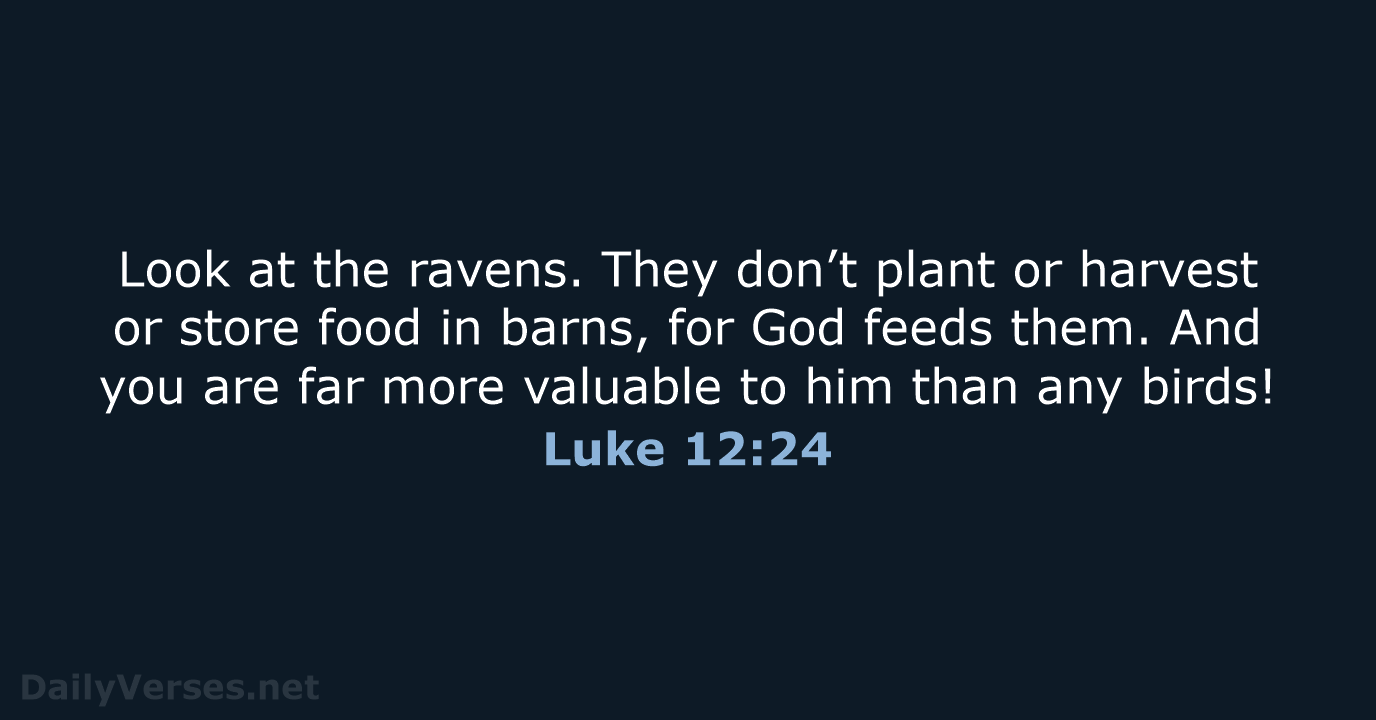 Luke 12:24 - NLT