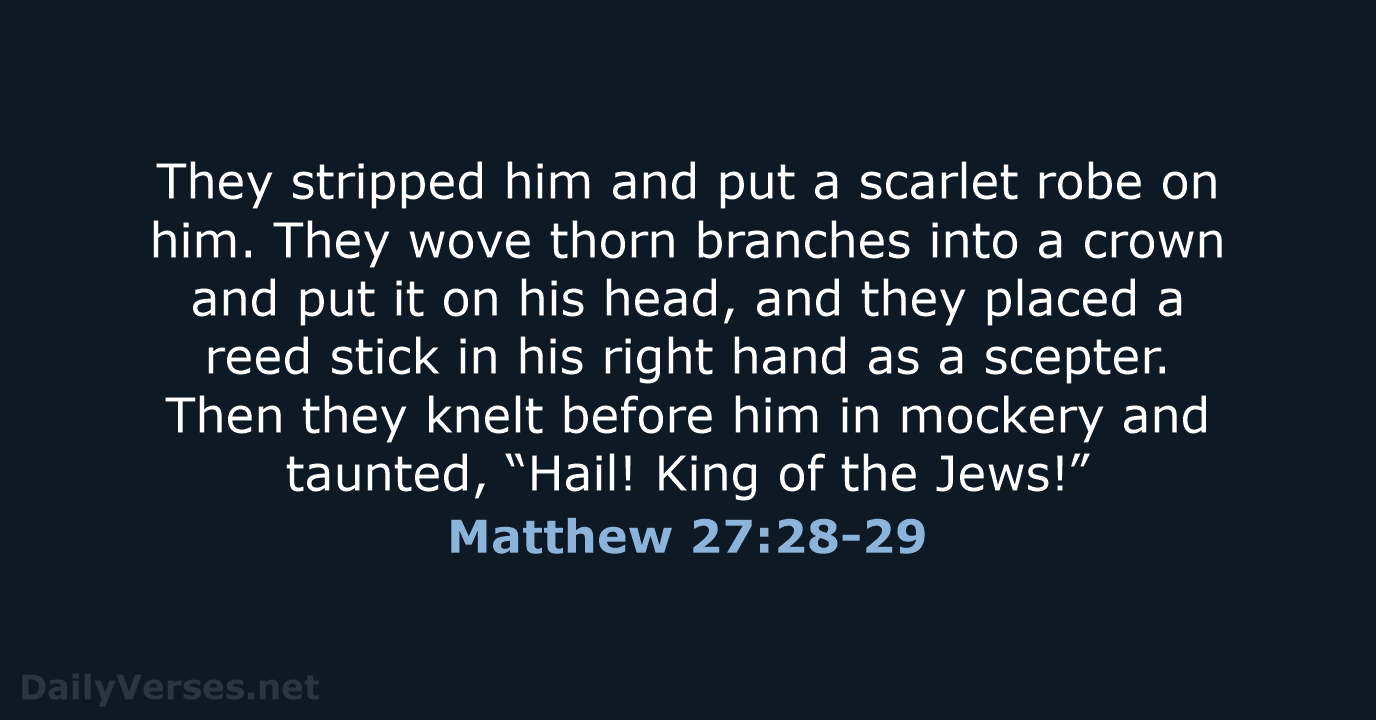 Matthew 27:28-29 - NLT
