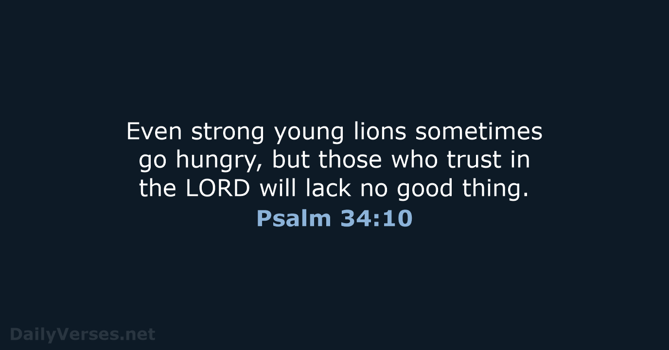 Even strong young lions sometimes go hungry, but those who trust in… Psalm 34:10