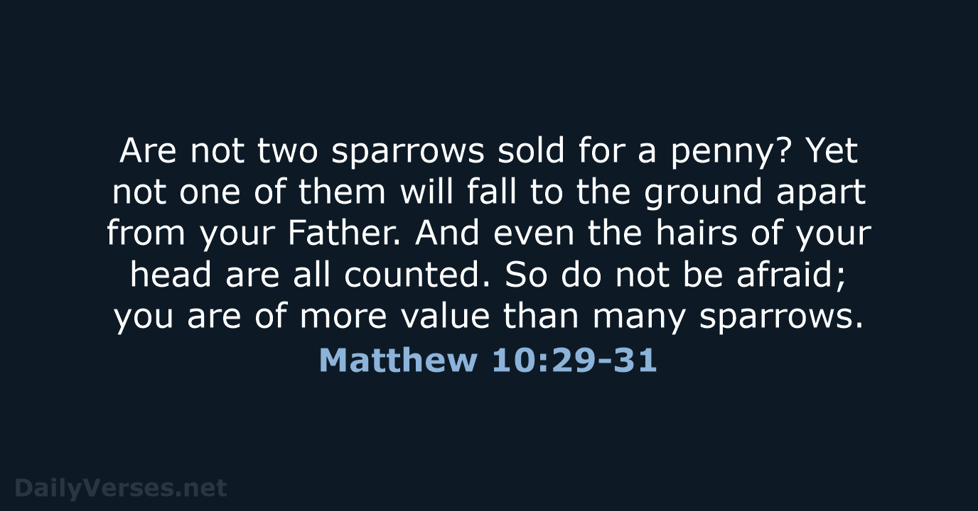 Are not two sparrows sold for a penny? Yet not one of… Matthew 10:29-31