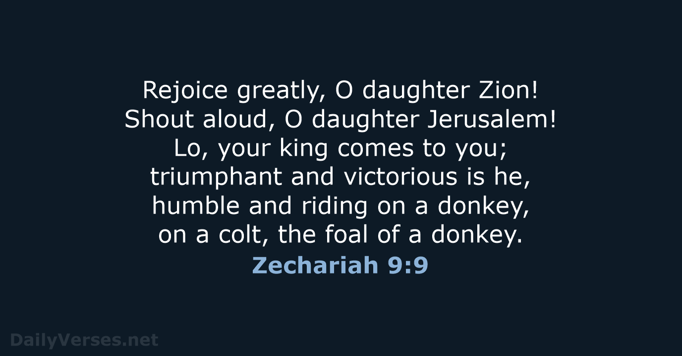 Zechariah 9:9 - NRSV
