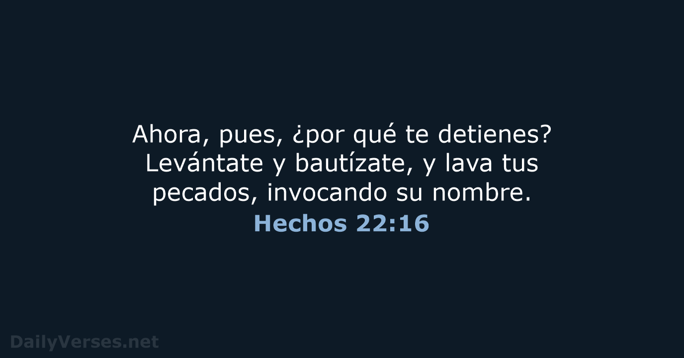 Hechos 22:16 - RVR60