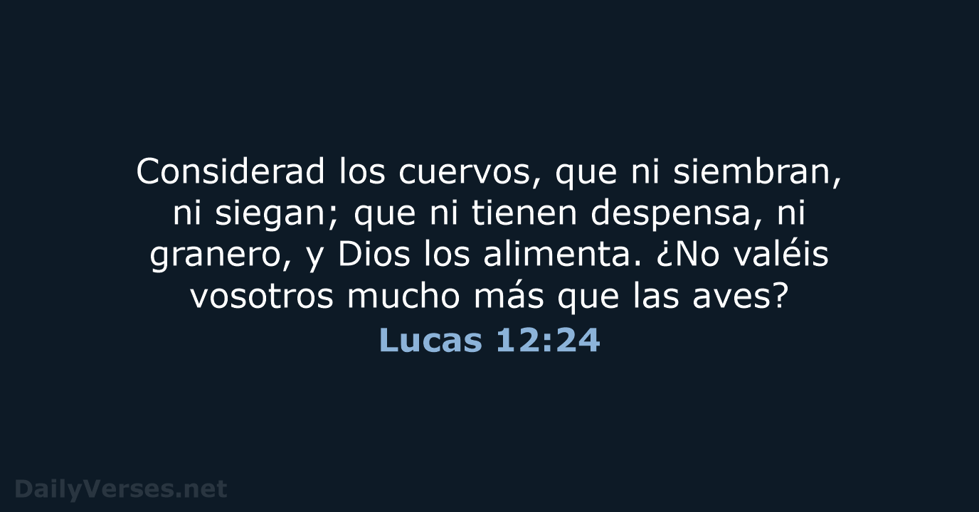 Lucas 12:24 - RVR60