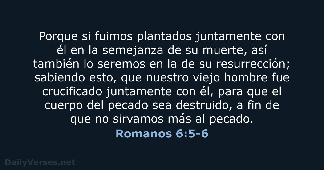 Porque si fuimos plantados juntamente con él en la semejanza de su… Romanos 6:5-6