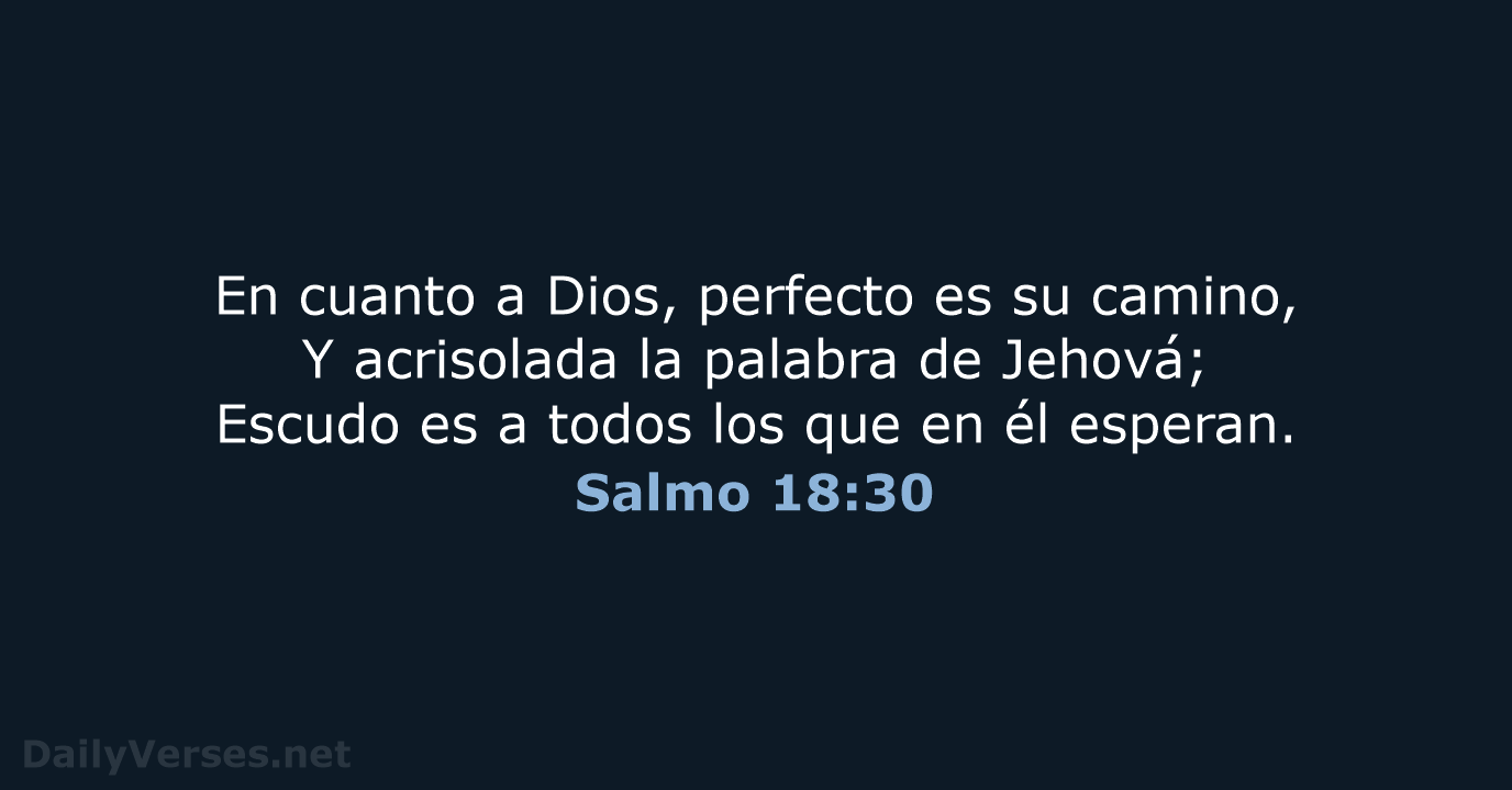 En cuanto a Dios, perfecto es su camino, Y acrisolada la palabra… Salmo 18:30