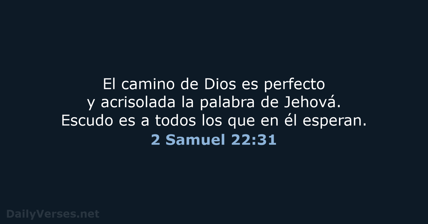 El camino de Dios es perfecto y acrisolada la palabra de Jehová… 2 Samuel 22:31