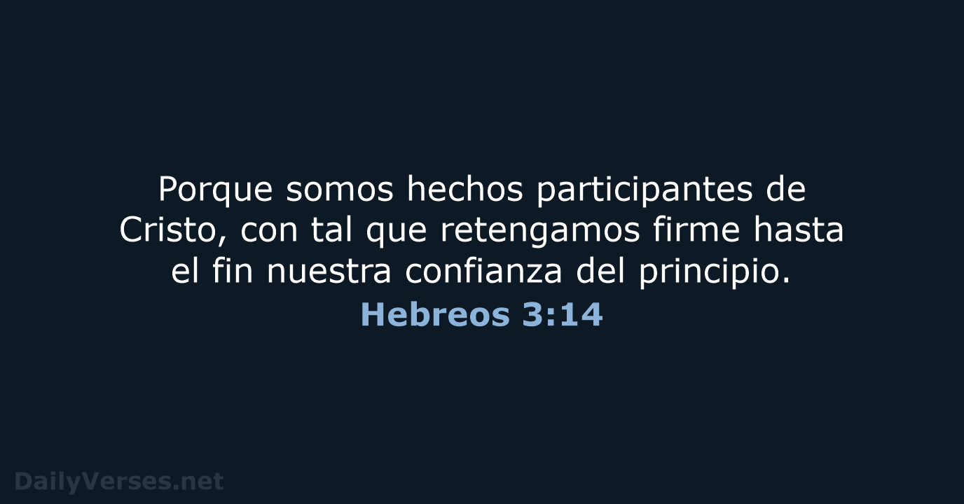 Hebreos 3:14 - RVR95