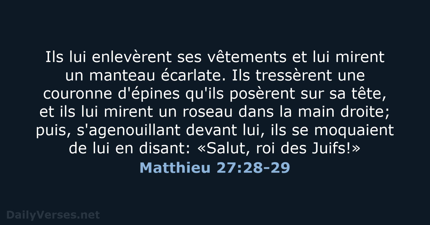 Matthieu 27:28-29 - SG21