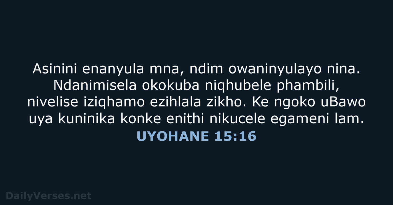 UYOHANE 15:16 - XHO96