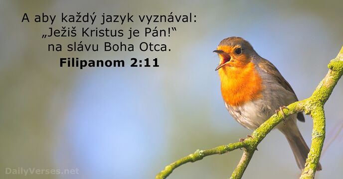 A aby každý jazyk vyznával: „Ježiš Kristus je Pán!“ na slávu Boha Otca. Filipanom 2:11
