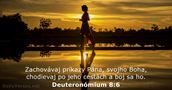 Deuteronómium 8:6