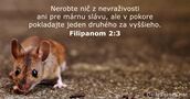 Filipanom 2:3