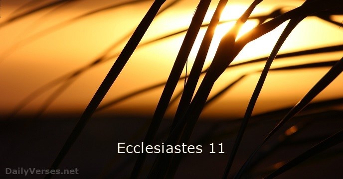 ecclesiastes 11 8 nlt