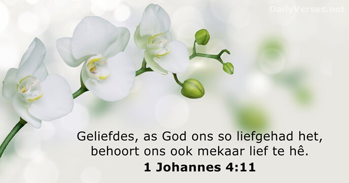 1 Johannes 4:11