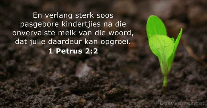 1 Petrus 2:2