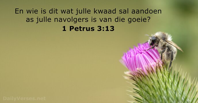 1 Petrus 3:13