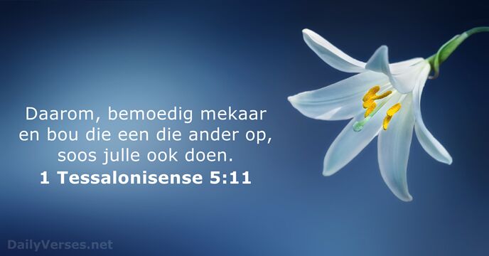 Daarom, bemoedig mekaar en bou die een die ander op, soos julle ook doen. 1 Tessalonisense 5:11