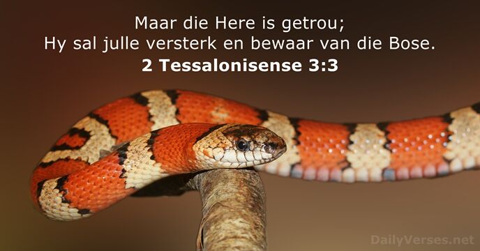 Maar die Here is getrou; Hy sal julle versterk en bewaar van die Bose. 2 Tessalonisense 3:3