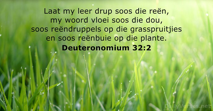 Laat my leer drup soos die reën, my woord vloei soos die… Deuteronomium 32:2