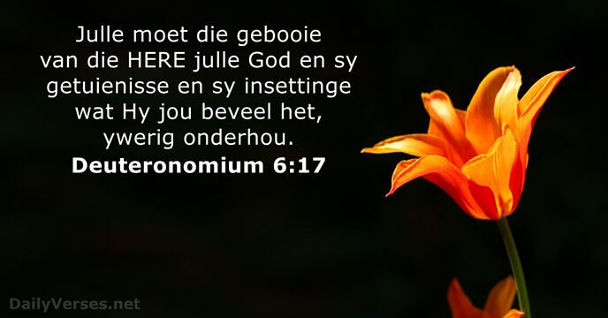 Deuteronomium 6:17