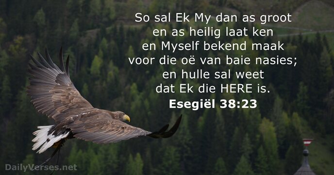 Esegiël 38:23