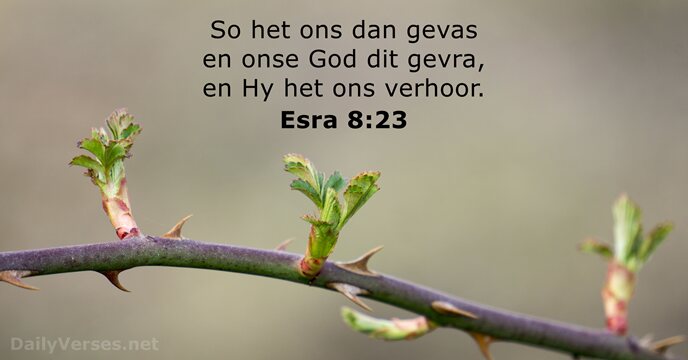 Esra 8:23