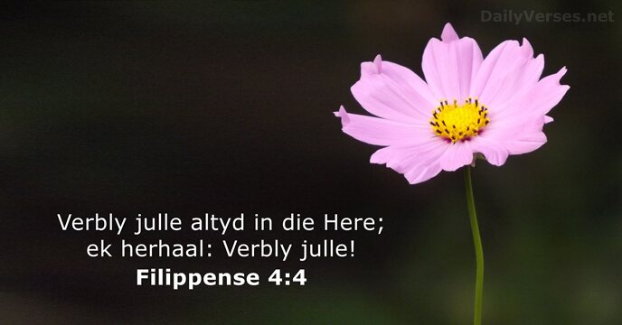 Verbly julle altyd in die Here; ek herhaal: Verbly julle! Filippense 4:4