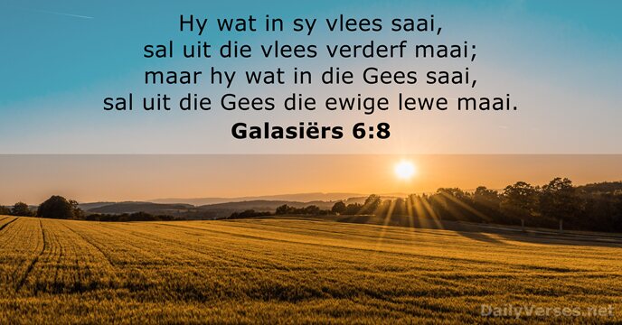 Galasiërs 6:8