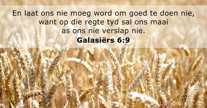 Galasiërs 6:9